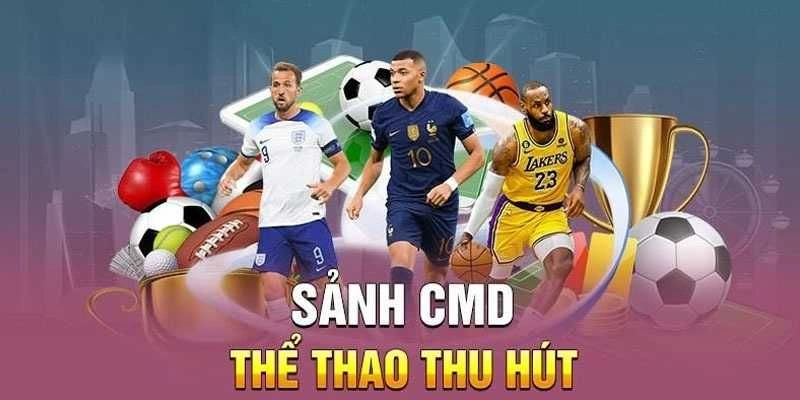 Trải nghiệm cá cược thể thao chân thực, đỉnh của đỉnh